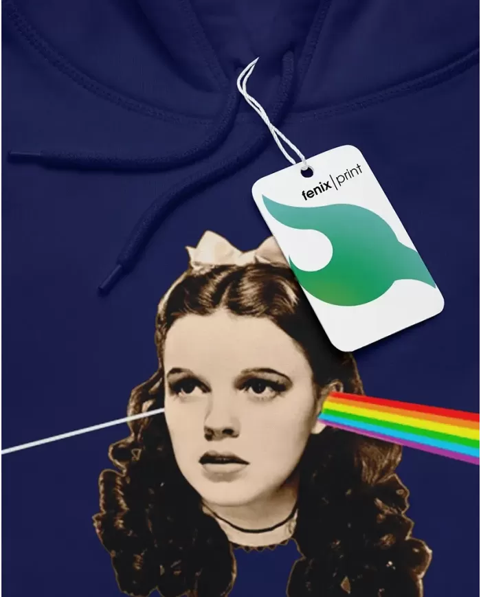 Pink Floid Dark Side Of The Moon 03