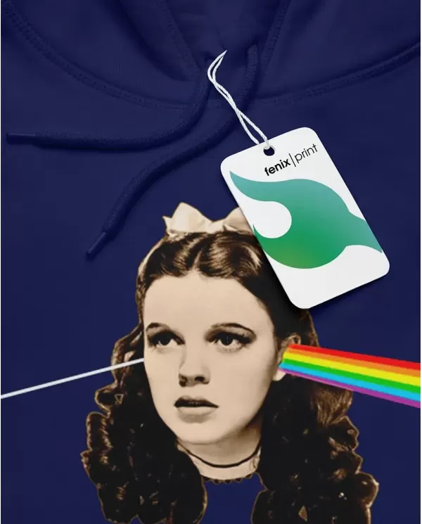 Pink Floid Dark Side Of The Moon 03